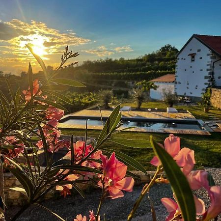 Penzion Skerlj Wine Estate Tomaj Exteriér fotografie