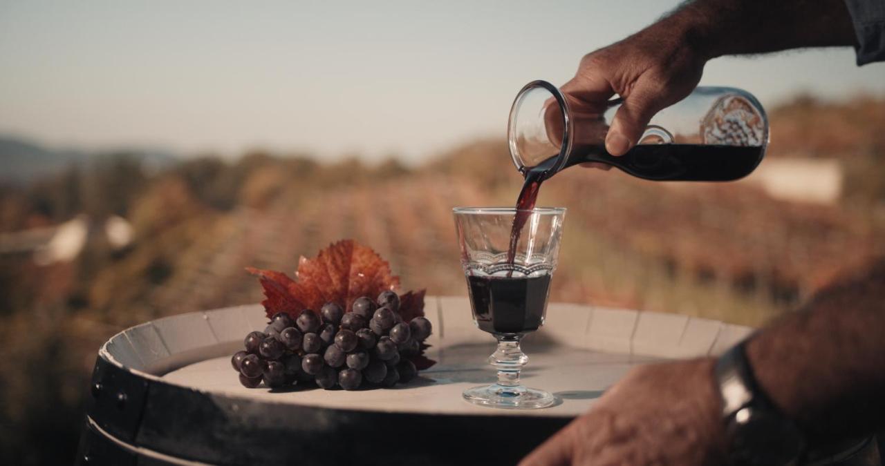 Penzion Skerlj Wine Estate Tomaj Exteriér fotografie