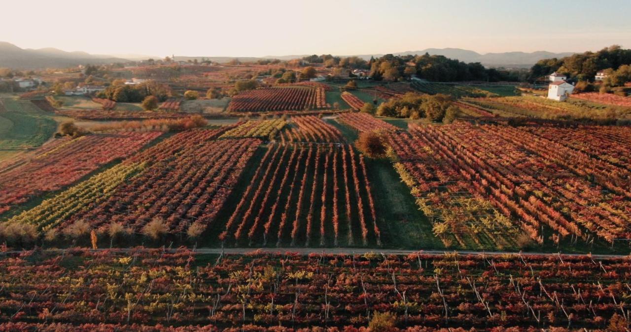 Penzion Skerlj Wine Estate Tomaj Exteriér fotografie