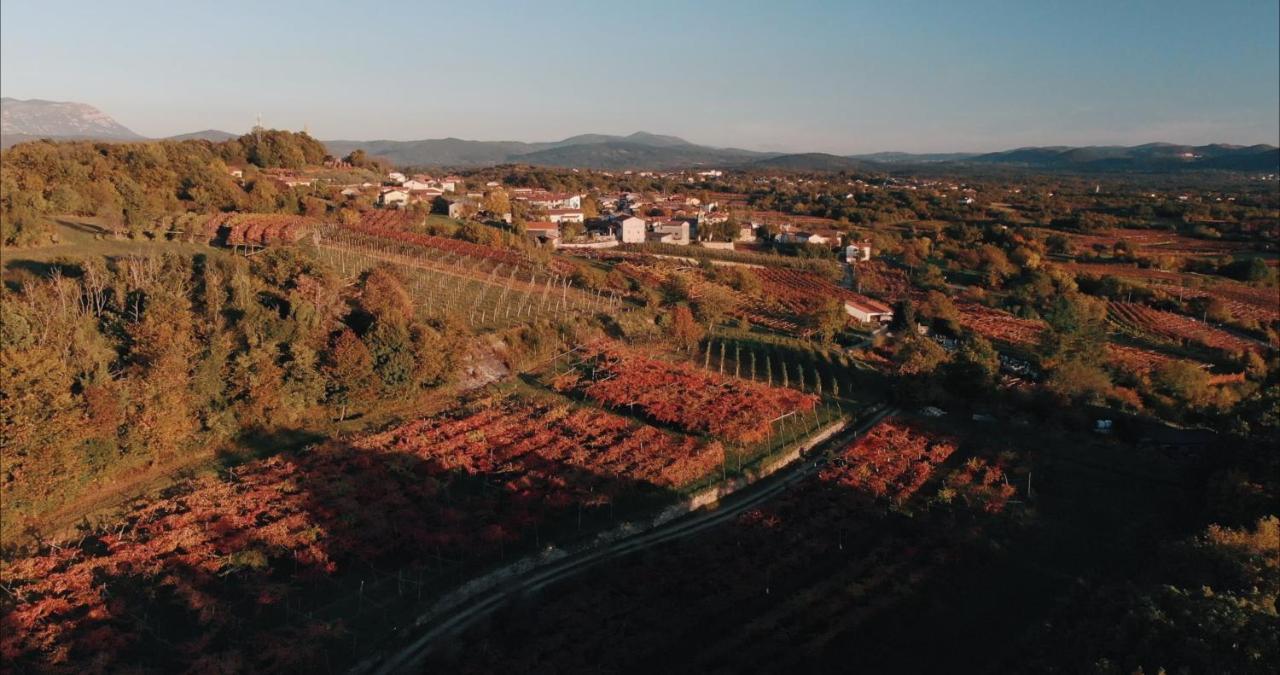 Penzion Skerlj Wine Estate Tomaj Exteriér fotografie