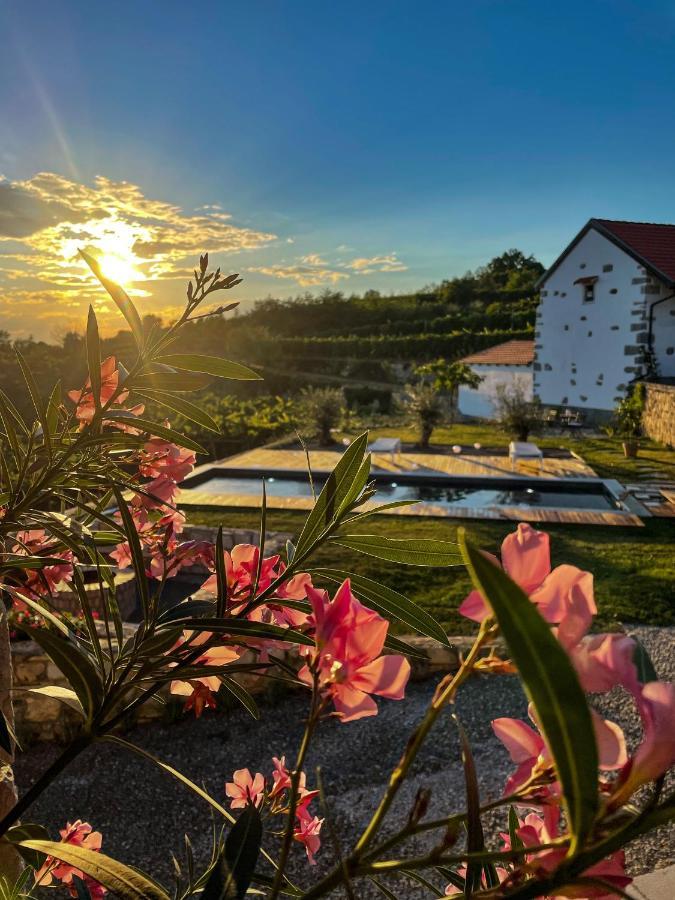 Penzion Skerlj Wine Estate Tomaj Exteriér fotografie