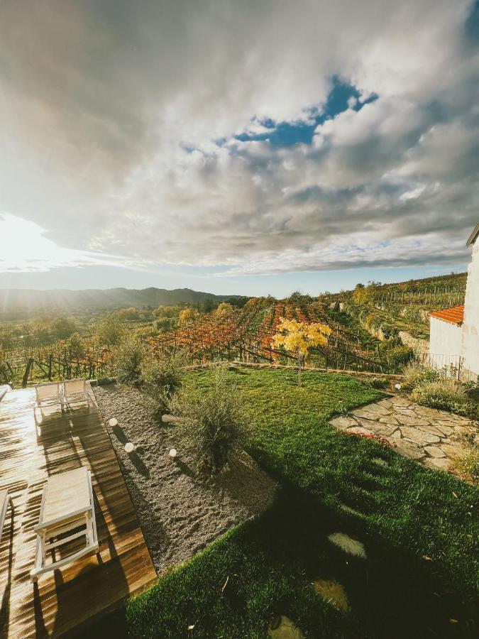 Penzion Skerlj Wine Estate Tomaj Exteriér fotografie